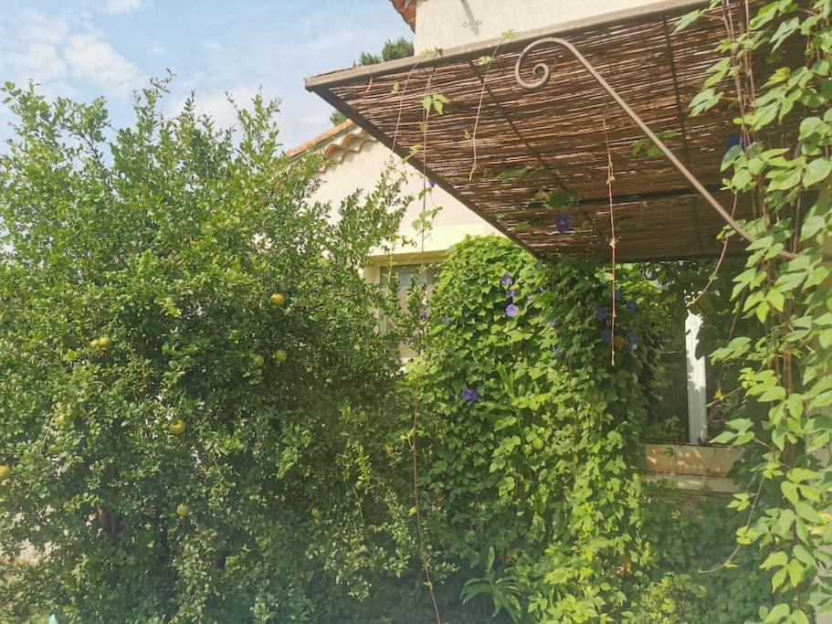 Maison Avec Piscine Dans Village Provencal. Courthézon Buitenkant foto