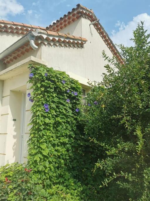 Maison Avec Piscine Dans Village Provencal. Courthézon Buitenkant foto